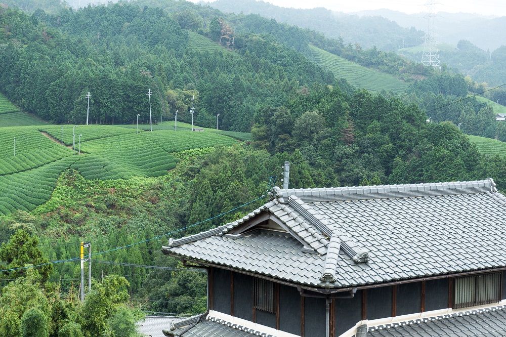 <p>Japanese Agricultural Technology</p>
