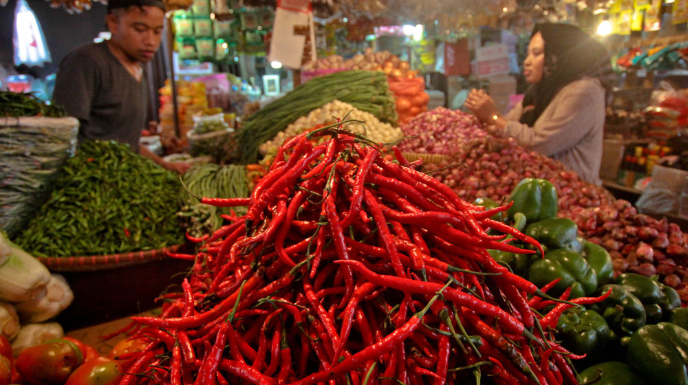 Ilustrasi Cabai Bawang - Panji 1.jpg