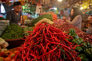 Ilustrasi Cabai Bawang - Panji 1.jpg