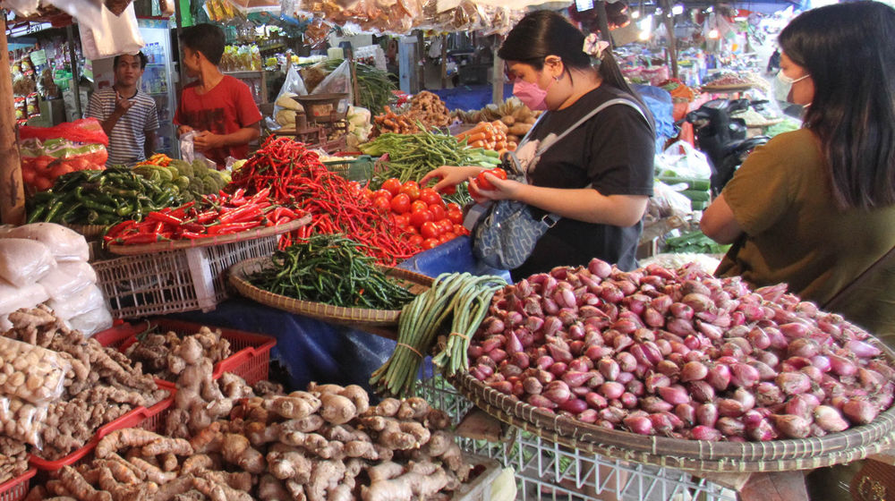 Ilustrasi Cabai Bawang - Panji 2.jpg