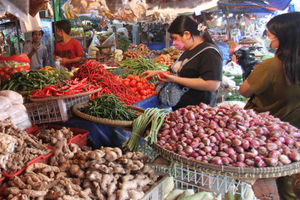 Ilustrasi Cabai Bawang - Panji 2.jpg