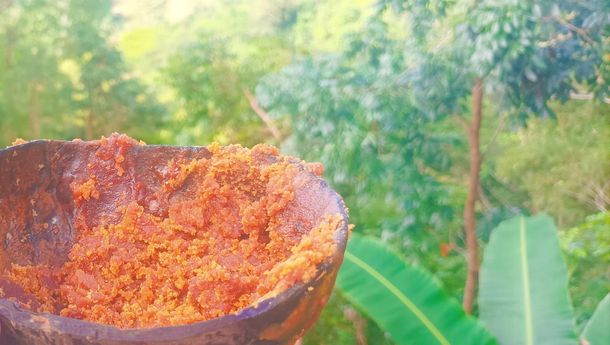 Tidak Banyak Orang Tahu, Gola Tai, Gula Paling Enak di Manggarai 