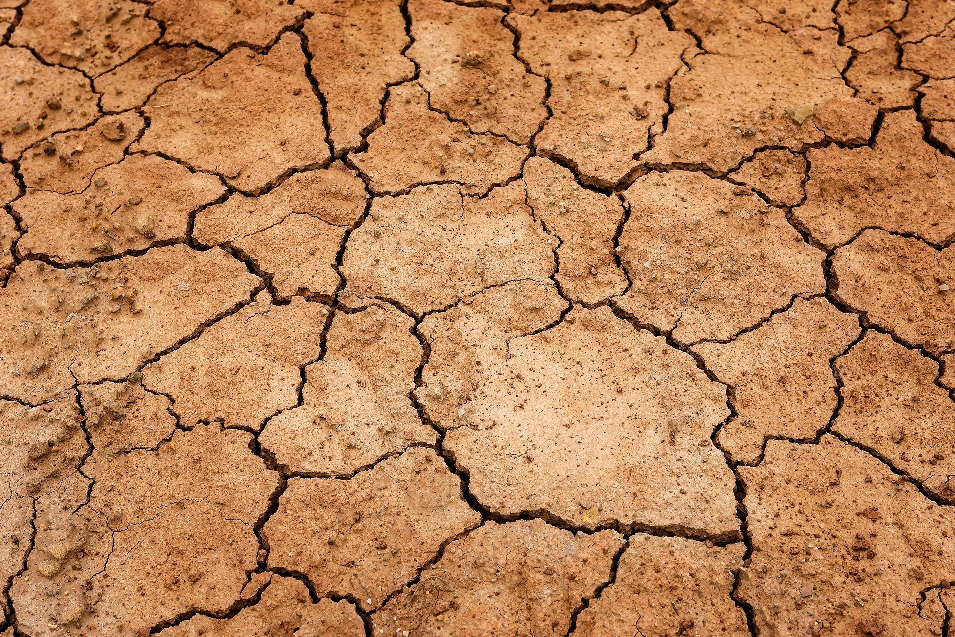 Tanah kering akibat cuaca panas yang menerpa