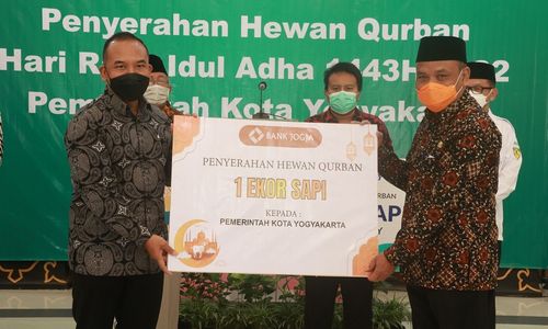 sapi kurban.jpg