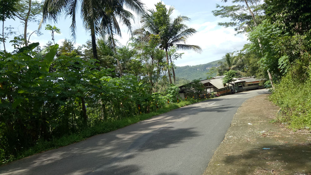 jalan kabupaten.jpg