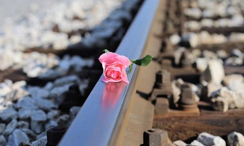 stop-children-suicide-g07822b3b9_1280.jpg
