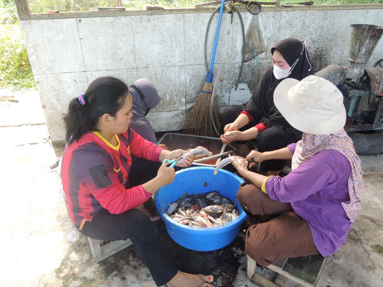 Berdayakan Ibu-ibu, Kelompok Petratonik panen lele