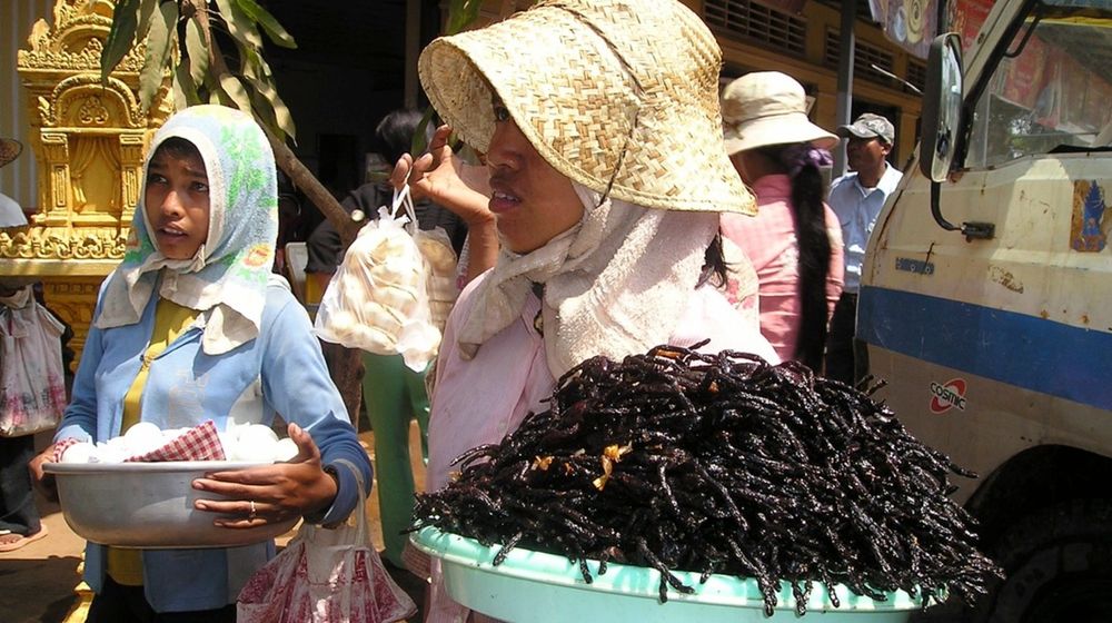 Tarantula Goreng, Kamboja