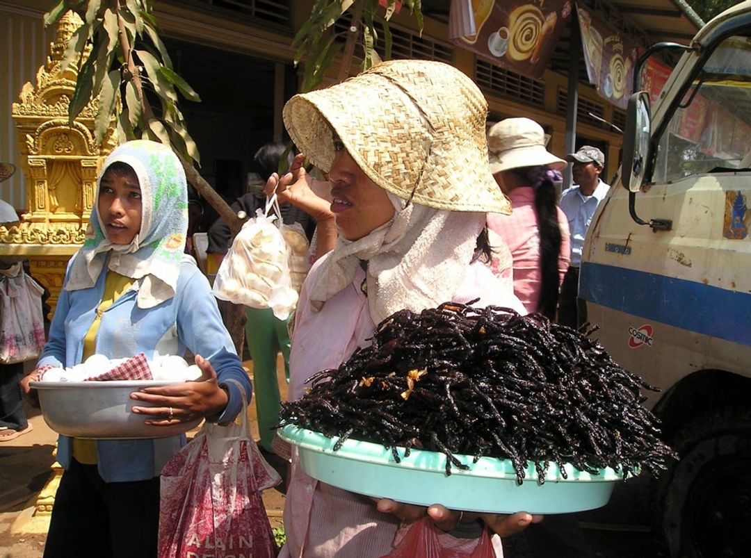 Tarantula Goreng, Kamboja