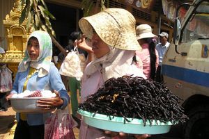 Tarantula Goreng, Kamboja