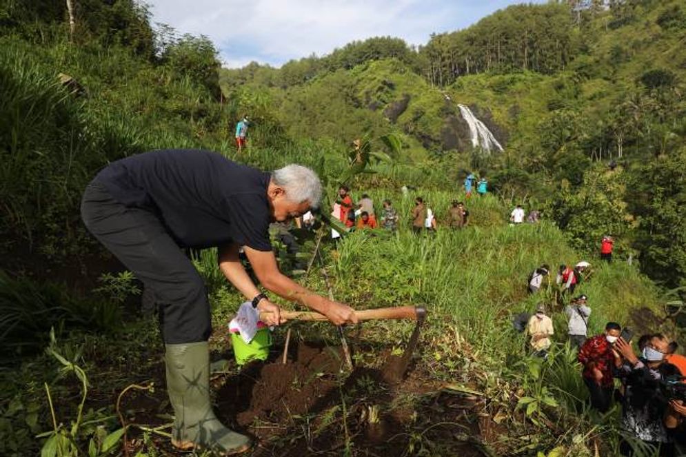 hutan pohon.jpg