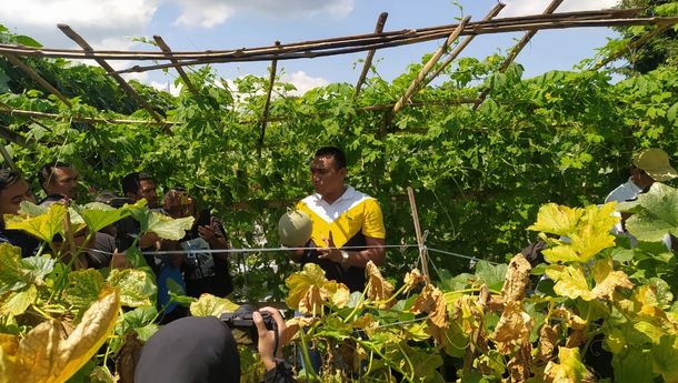 AWK Dukung Petani Hortikultura di Matim