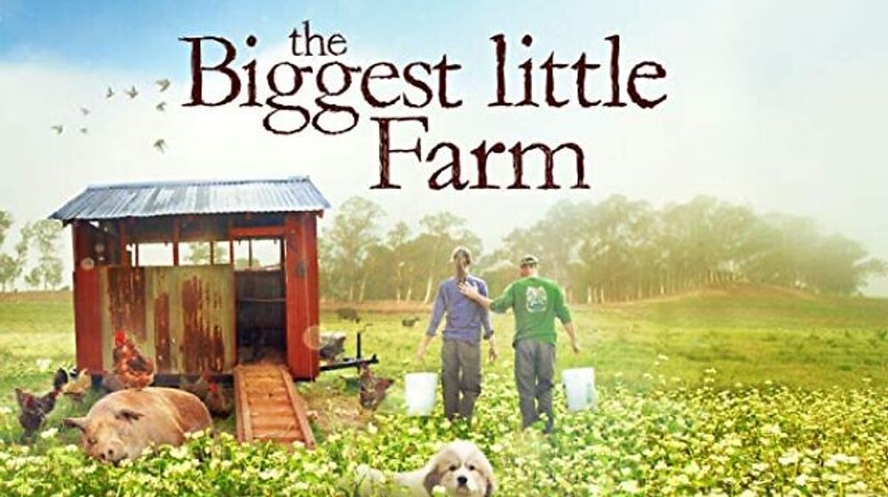 review film the biggest little farm
