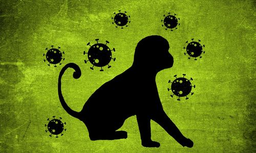monkey-pox-ga78542609_1280.jpg