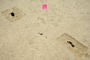 jejak kaki hantu.jpg