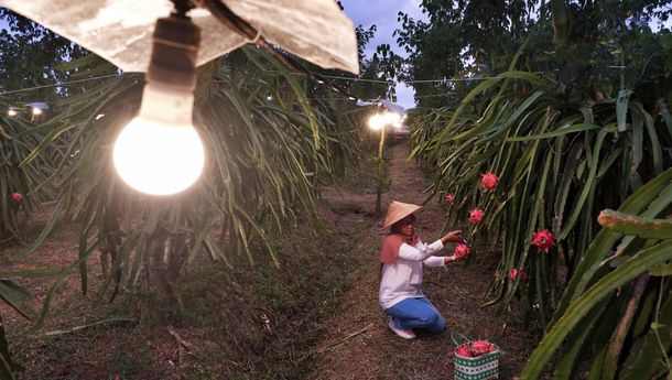 Dirut PLN Dorong Inovasi Listrik Jadi Sumber Energi Murah