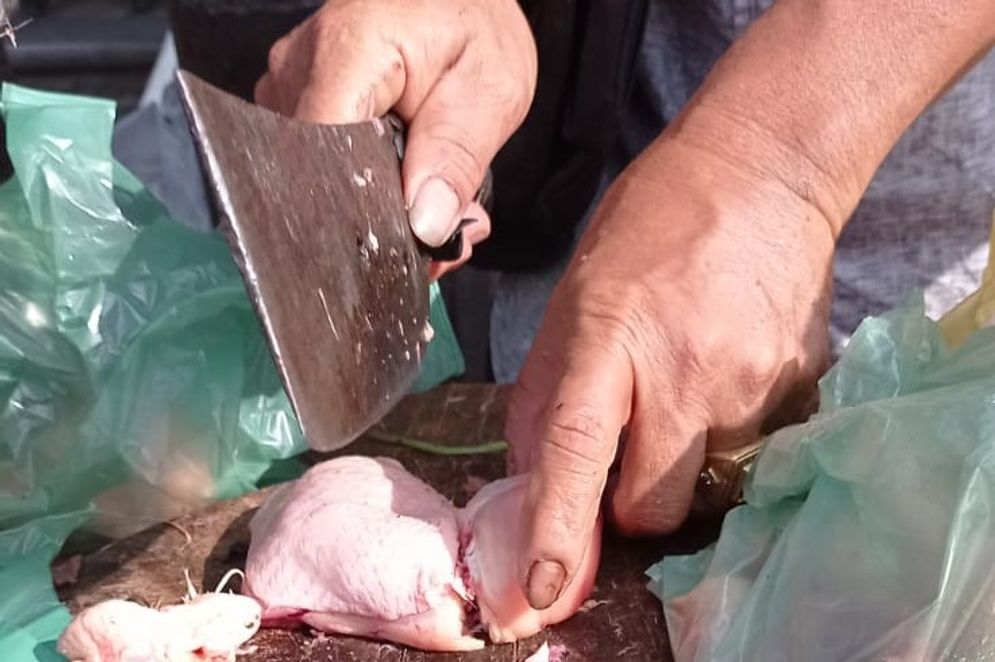 Pedagang menjual ayam potong