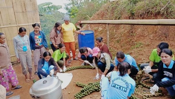 KKN di Cunca Lolos, Mahasiswa Unika St Paulus Ruteng Olah Biji Buah Aren Jadi Kolang-Kaling