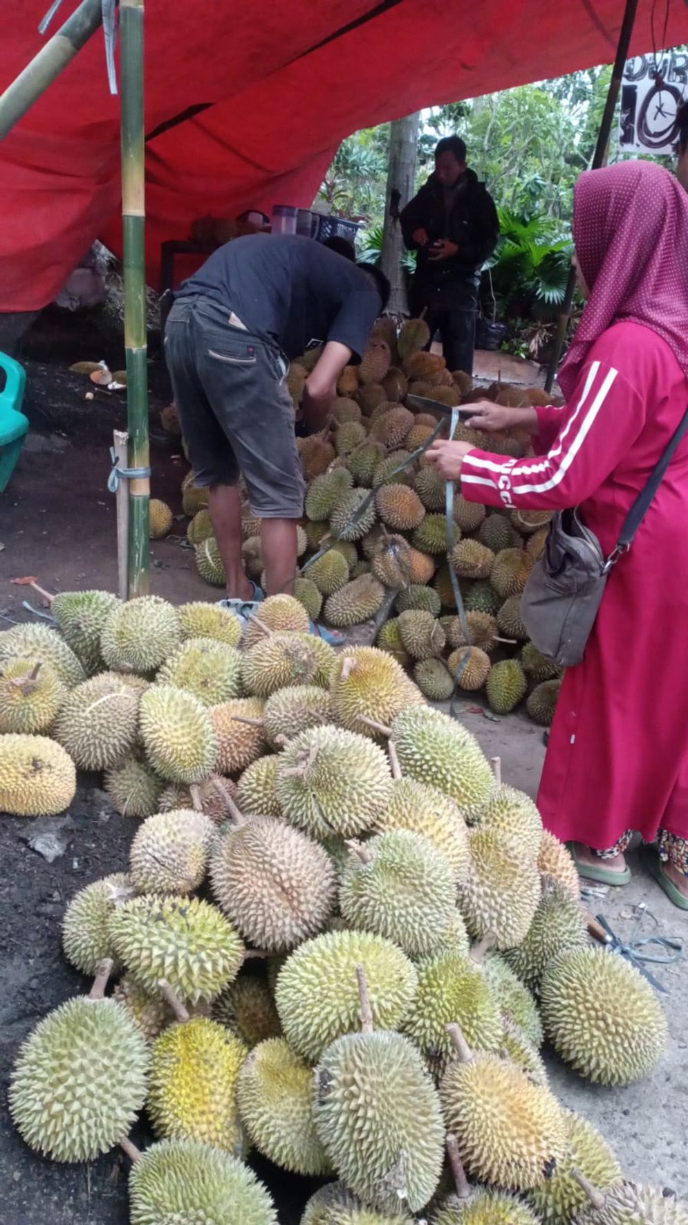 "Banjir" Durian di Palembang, Cek 5 Rekomendasi Lokasi Penjual dengan Harga Mulai Ceban 