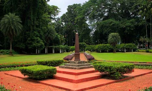 Taman Teisjmann - Kebun Raya Bogor.jpeg