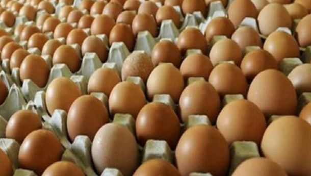 Pemerintah Sebut Harga Telur Ayam Melonjak Karena Sedang Cari Keseimbangan