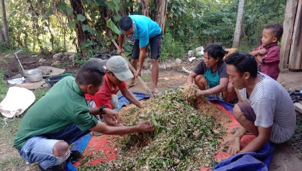 Gairahkan Ekonomi Masyarakat, Yayasan SPM Adakan Diklat Pembuatan Pakan Ternak Berbahan Lokal di Pagal