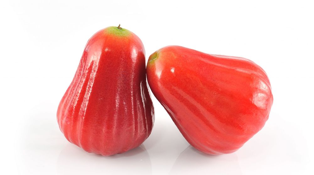 <p>Rose apples or chomphu isolated on white background</p>
