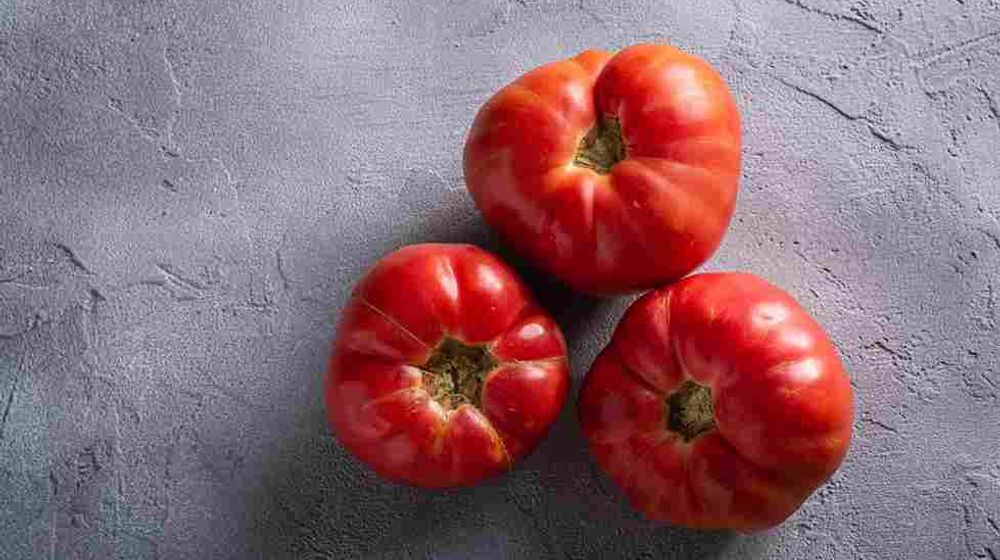Mengenal Tomat Beef dan Cara Mudah Menanamnya