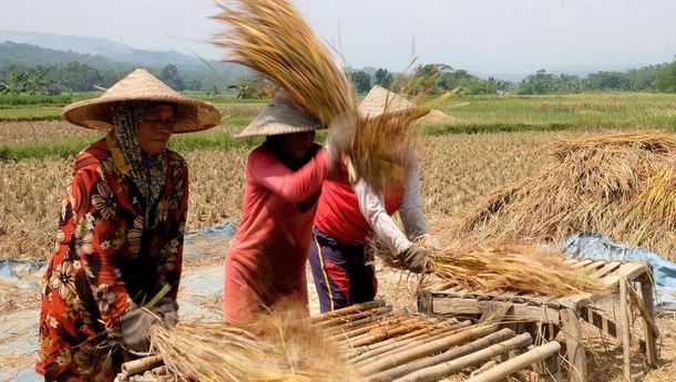 NTP Provinsi Lampung Agustus 2022 Naik 0,70 Persen