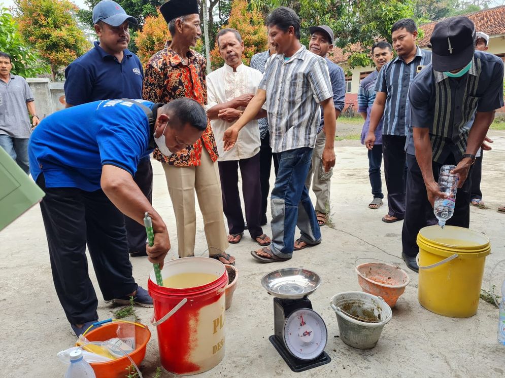 7 pupuk klaten.jpg