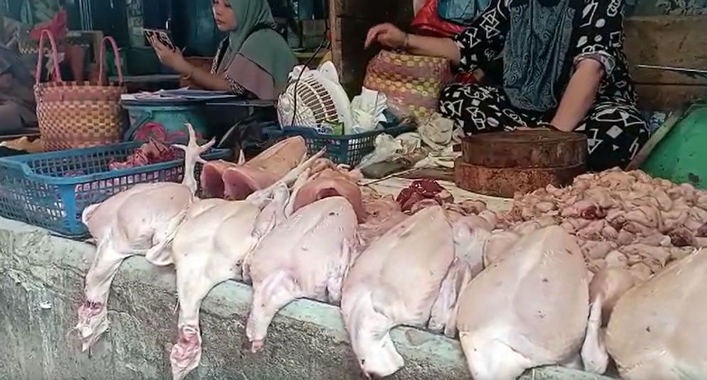 Harga Ayam Naik, Pedagang  Keluhkan Omzet Turun