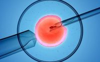 embrio IVF.jpeg