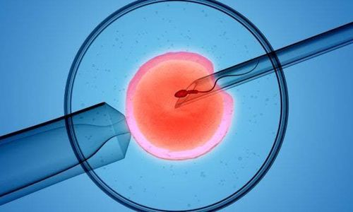embrio IVF.jpeg