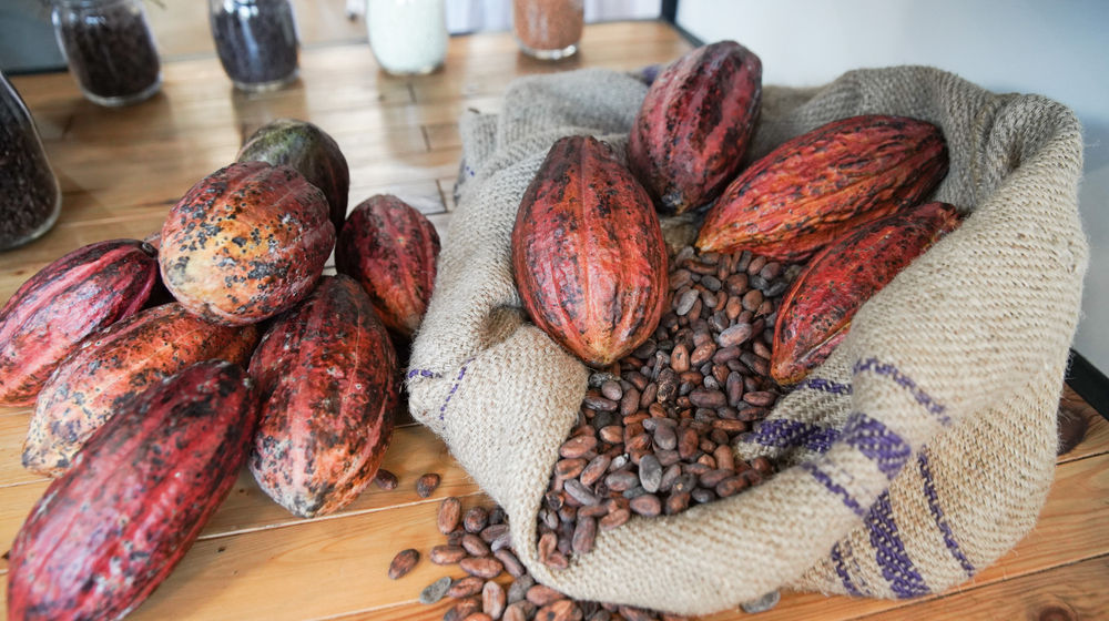 Barry Callebaut-2.jpg