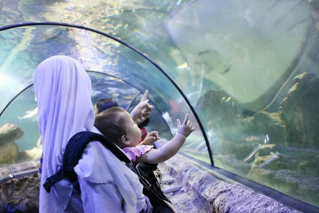 Keindahan laut yang bisa dinikmati dibalik kaca bakal hadir di Minut. (Foto:Istimewa)