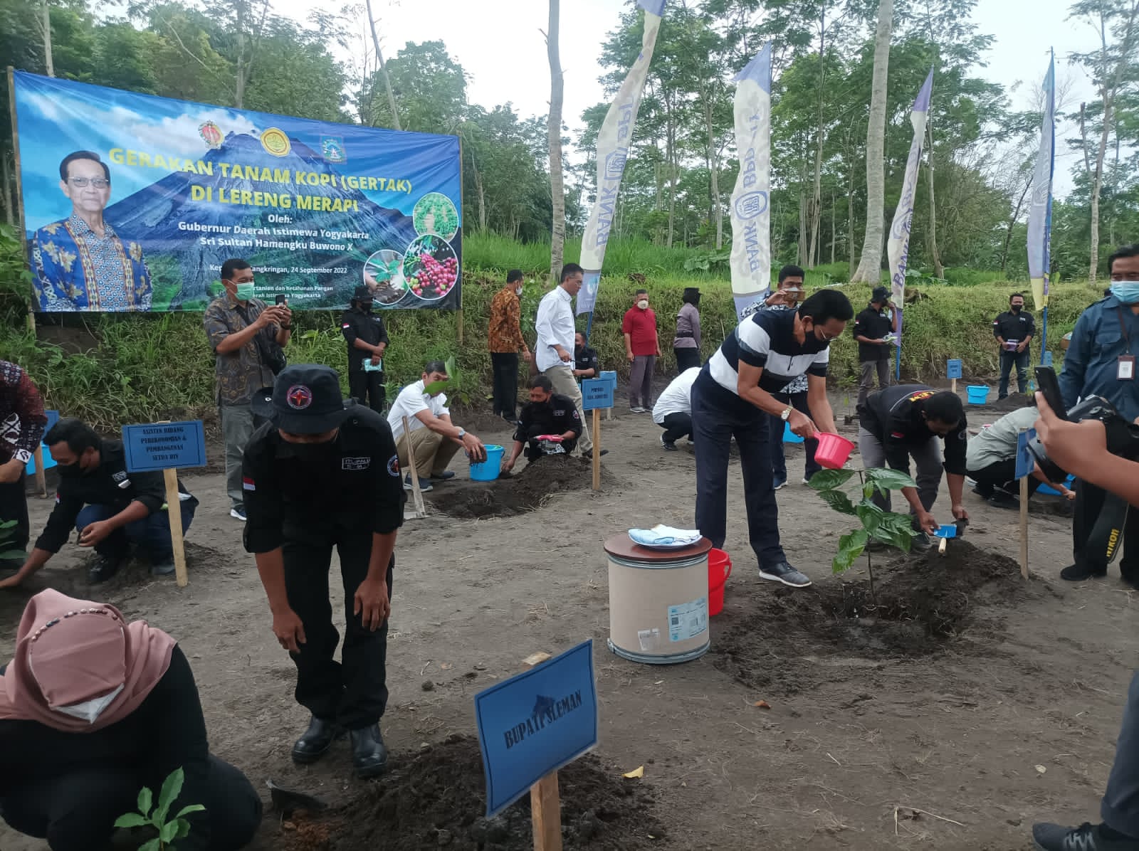 Gubernur DIY Sri Sultan HB X melakukan penanaman pohon kopi dalam acara Gerakan Tanam Kopi Di Lereng Merapi di Kalurahan Kepuharjo, Cangkringan, Sleman, Sabtu (24/9/2022). 