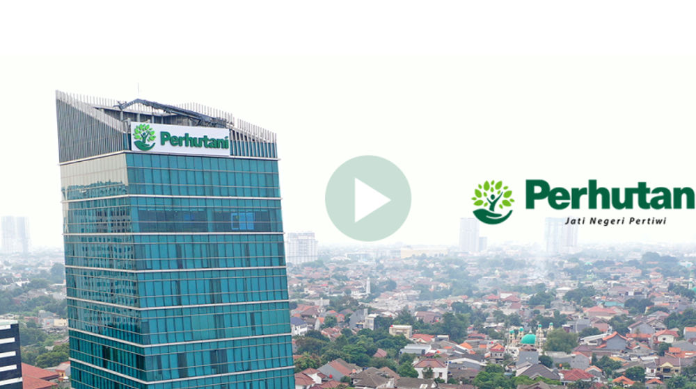 perhutani-profil-perusahaan.webp