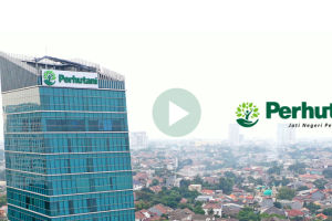 perhutani-profil-perusahaan.webp