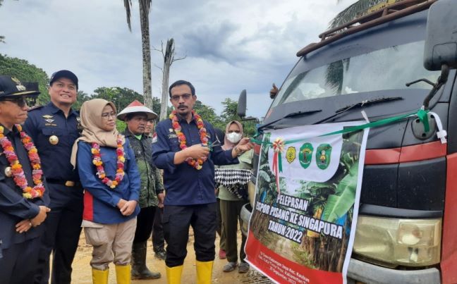 Direktur Buah dan Florikuktura Kementerian Pertanian (Kementan) Republik Indonesia (RI), Liferdi Lukman, melepas ekspor pisang petani Kutai Timur, Kamis 29 September 2022. Foto: Diskominfo Kaltim.