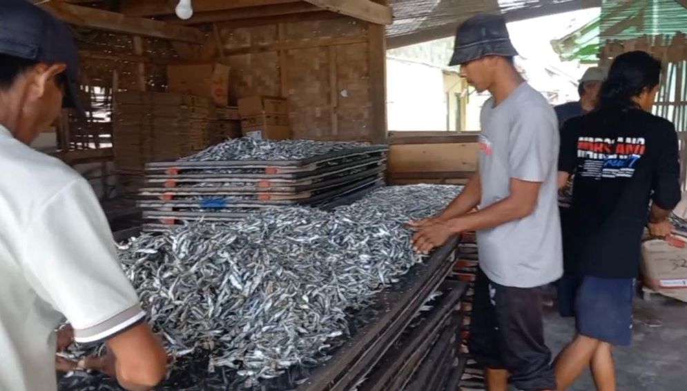 Pengrajin ikan teri asin di Pulau Pasaran, Bandar Lampung.