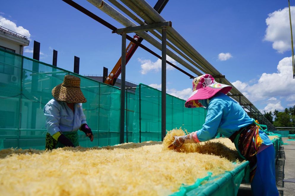 Penjemuran rumput laut