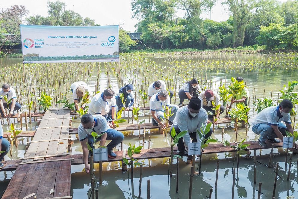 Penanaman 2.000 bibit pohon Mangrove Asuransi Astra dalam kegiatan Estafet Peduli Bumi.