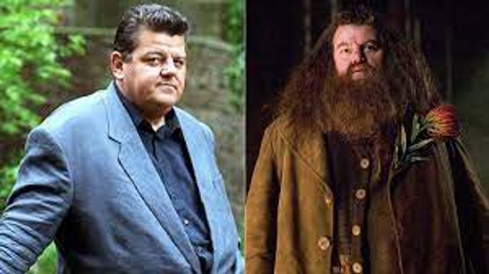 Aktor pemeran Rubeus Hagrid dalam film Harry Potter, Robbie Coltrane, meninggal dunia pada Jumat, 14 Oktober 2022 pada usia 72 tahun.