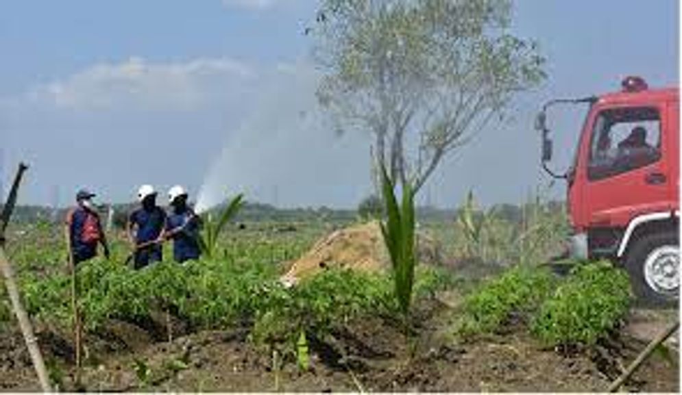 A-LADANG PANGAN.jpg