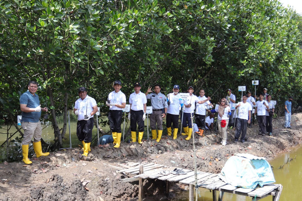 mangrove-pln-batam.jpg