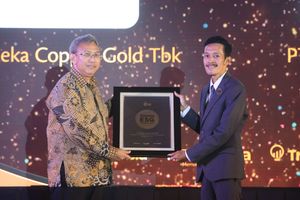PT Merdeka Copper Gold Tbk-min.JPG
