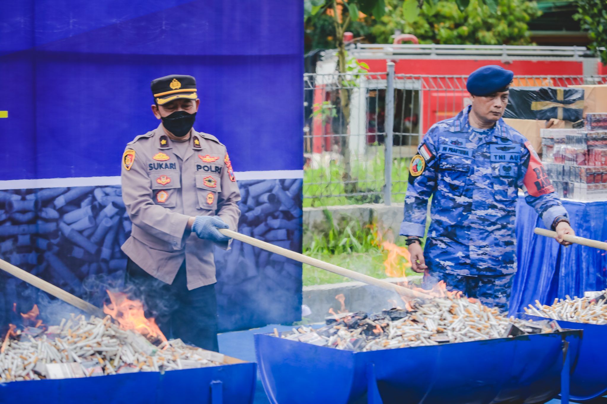 Bakar rokok ilegal- Wilayah Jember dikenal sebagai penghasil tembakau emas atau dengan kualitas tembakau nomor satu.