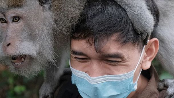 Yuk, Intip Pesona ‘Tersembunyi’ di Pulau Dewata