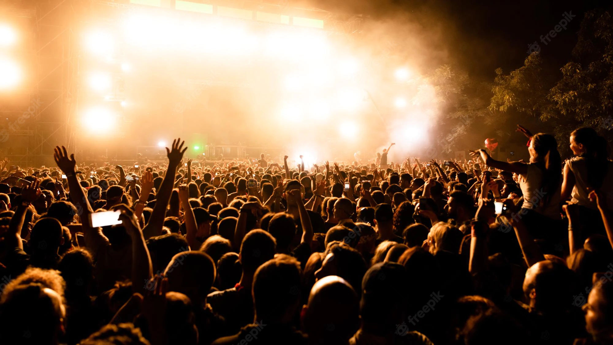 rear-view-large-group-music-fans-front-stage-during-music-concert-by-night-copy-space_637285-623.webp