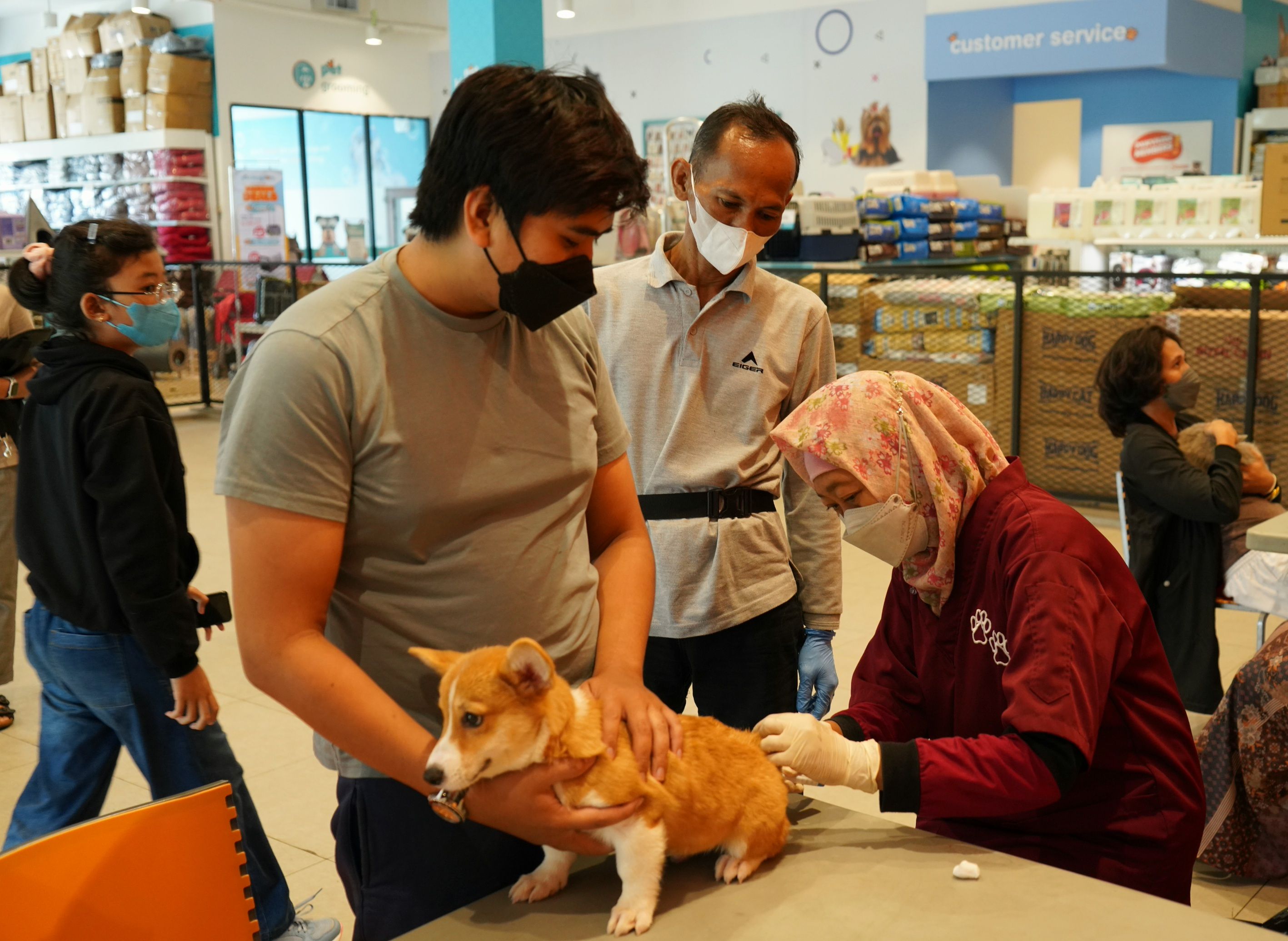 CARE FOR PAW, program yang diinisiasi Pet Kingdom dan para mitra
